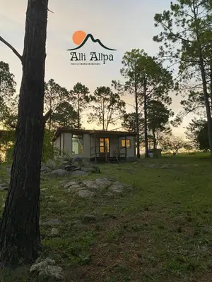 a small house in a field with a tree at Alli Allpa Finca y Cabañas de Montaña in Villa Yacanto