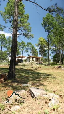 a tree in a field with a house in the background at Alli Allpa Finca y Cabañas de Montaña in Villa Yacanto