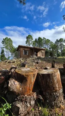 a house sitting on top of a tree stump at Alli Allpa Finca y Cabañas de Montaña in Villa Yacanto