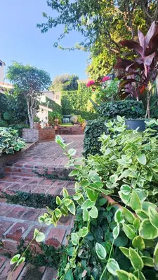 a garden with green plants and a brick pathway at Casa Dos Lunas Cordoba in Cordoba