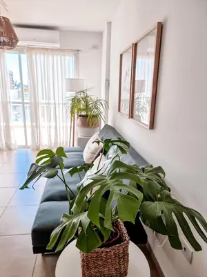 a living room with a couch and a plant at Dpto independencia 1446 - Pileta, Terraza, Asadores in Cordoba