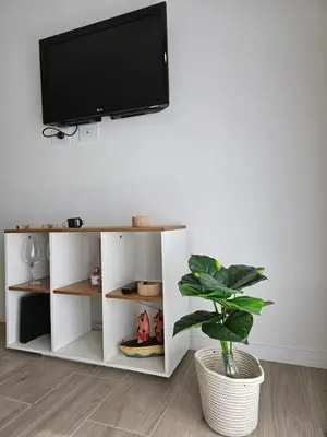 a living room with a tv and a plant at Dpto Ambrosio Olmos 1090 - Pileta, Asadores, Terraza, Quincho in Cordoba