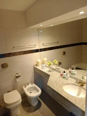 a bathroom with a toilet and a sink and a mirror at Monoambiente Centrico in Cordoba