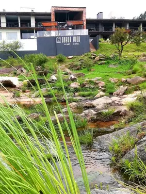a garden with rocks and plants in front of a building at BUENA VIDA I Apart Hotel in Villa Icho Cruz