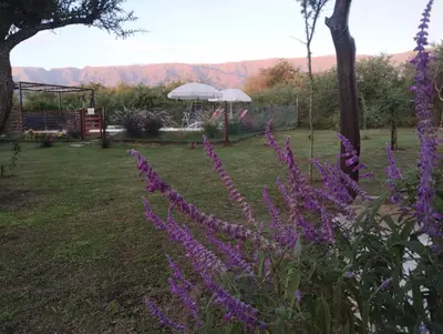 a field of purple flowers with mountains in the background at Arawi Cabaña in Merlo