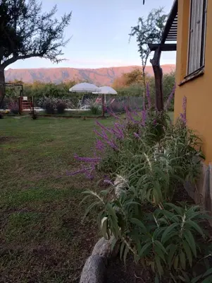 a garden with purple flowers next to a building at Arawi Cabaña in Merlo
