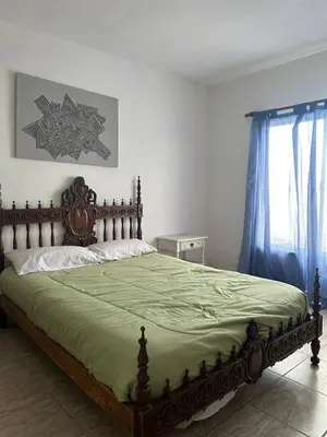 a bedroom with a large bed with a green blanket at Depto 3 in Río Cuarto
