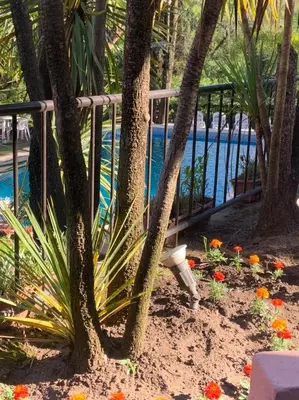 a fence with trees and flowers next to a pool at Hotel Tanti Spa & Resort in Tanti