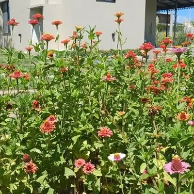 LA VALENTINA casa de campo