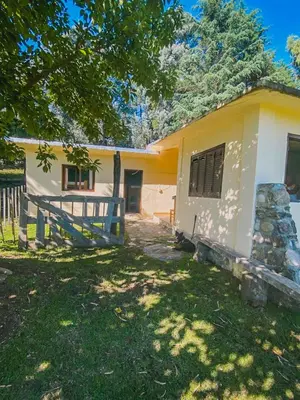 a small yellow and white house with a tree at Hostel La Resolana in Villa Alpina