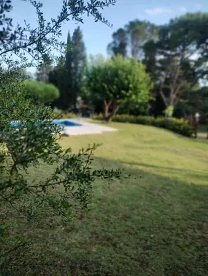 a park with a field of grass and trees at Cabañas La Casita de Fran in Villa del Dique
