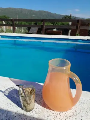 a vase and a cup on a table next to a pool at Mateo y Stella 2 in Bialet Massé