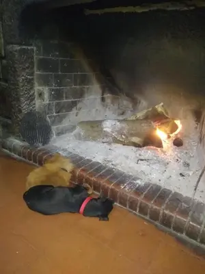 a dog laying in front of a brick oven at Hosteria Calamuchita in Villa del Dique