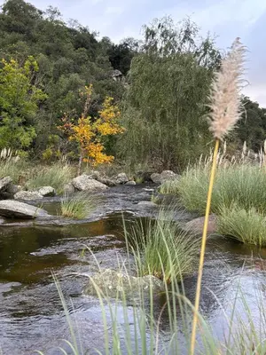 a river with rocks and grass and trees at Rio Dorado Resort in Cavalango