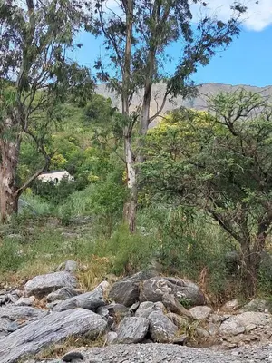 a group of rocks in a field with trees at Casa en la montaña, Rincón del Este - Merlo SL in Merlo