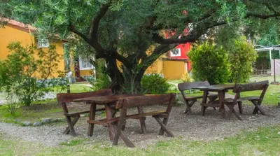 three benches and a table under a tree at Cabañas Pio Pio in Merlo