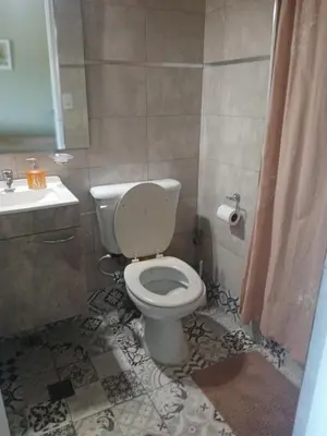 a bathroom with a toilet and a sink at Departamento Monoambiente Centro Villa Carlos Paz in Villa Carlos Paz