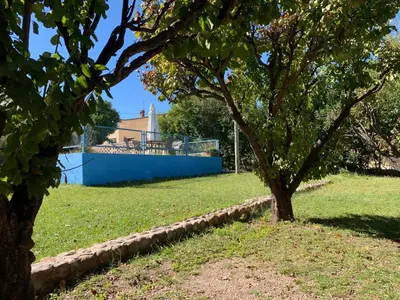 a tree in a field with a building in the background at Don Valerio in Mina Clavero