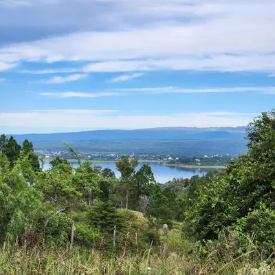 a view of a lake from a hill with trees at Cabaña La Lechuza in Villa Ciudad de America