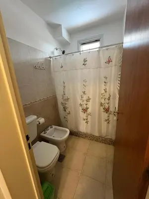 a bathroom with a toilet and a shower curtain at Dpto Centrico Carlos Paz in Villa Carlos Paz