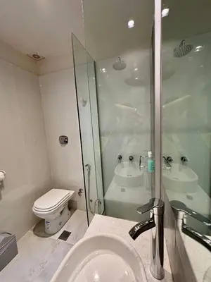 a bathroom with a shower and a toilet and a sink at Posada del Valle solo adultos in Merlo