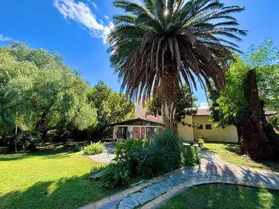 a palm tree in front of a house at Posada del Valle solo adultos in Merlo