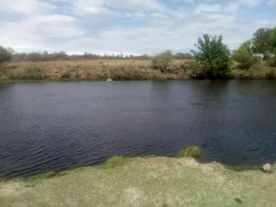 a body of water with a tree in the middle at Panaholma resort Cabañas de montaña in Panaholma