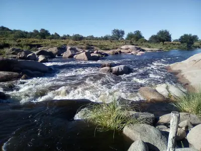 a river with rocks and grass in the middle at Panaholma resort Cabañas de montaña in Panaholma