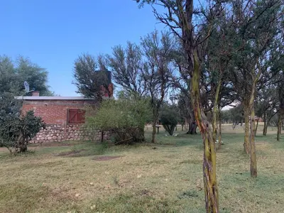 a brick building in a field with a tree at Panaholma resort Cabañas de montaña in Panaholma