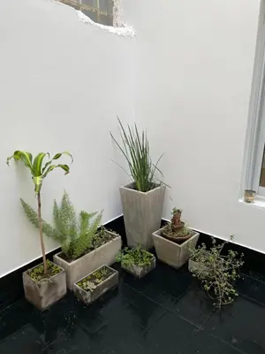a group of potted plants sitting next to a wall at Torre Kalinka dos dormitorios pleno centro in Villa Carlos Paz