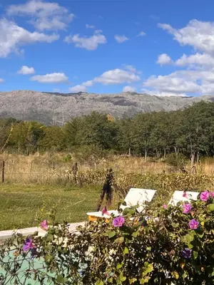 a field of flowers with mountains in the background at Ranchos de la Tata in Las Calles