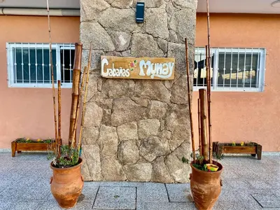 two potted plants sitting in front of a stone wall at Clomplejo MUNAY con piscina y parking in Villa Cura Brochero