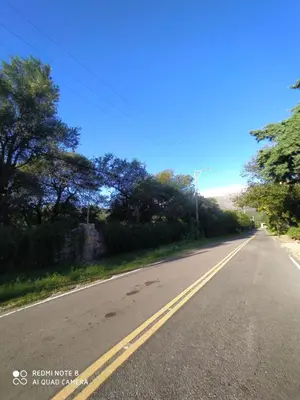 an empty road with trees on the side at Alojamiento temporal mis seis soles in Villa de Las Rosas