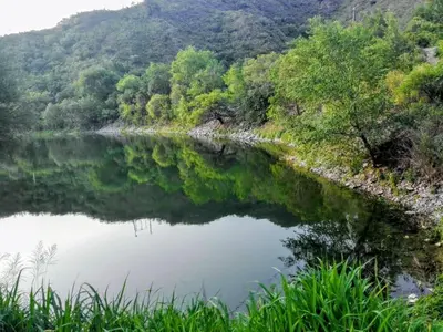 a body of water with trees and a mountain at Karylago11 in San Roque