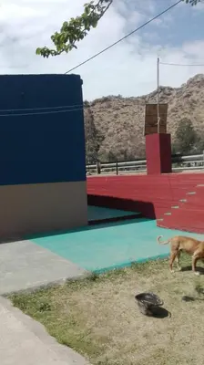 a dog walking on the grass next to a building at Karylago in Casa Bamba