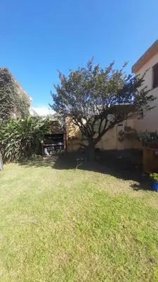a tree in the yard of a house at Las Crasas in Alta Gracia