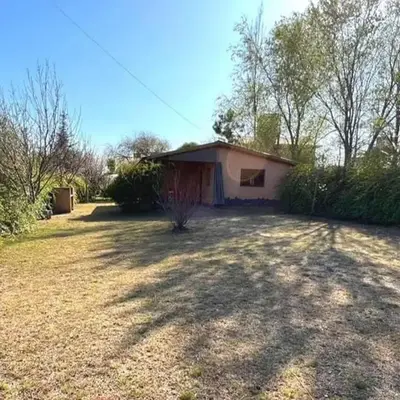 das gelbe haus