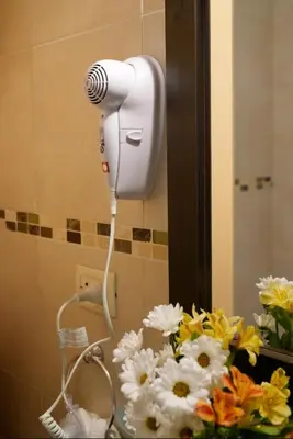 a blow dryer on a bathroom wall next to flowers at Casa Frida - Alojamiento exclusivo para Mujeres - in Villa Carlos Paz