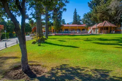 a tree in a field with a building in the background at Hotel Parque in Merlo