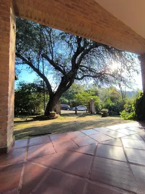 an empty patio with a large tree in the background at Los Condores in La Bolsa