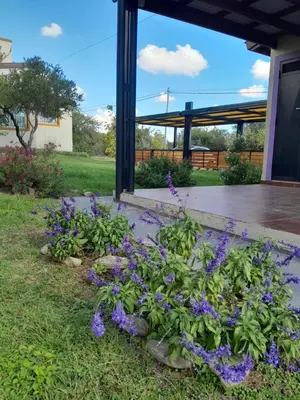 a garden with purple flowers in front of a building at Complejo de Cabañas Los Virreyes in Cerro de Oro
