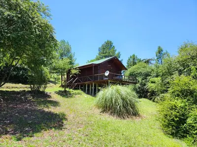 a house in the middle of a field with trees at Rincon Soñado in La Porteña