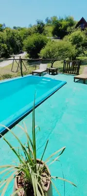 a blue swimming pool with a potted plant next to it at CUYEN LA SERRANITA Dormi DLX Cabin para 2 Personas in Villa Serranita
