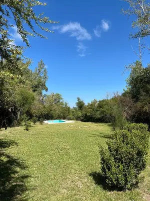 a field of grass with a blue sky and trees at Cabaña Don Licho in San Javier