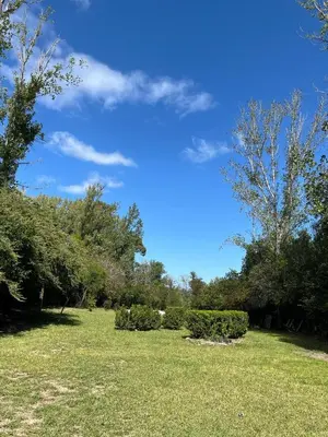 a field of grass with trees and a blue sky at Cabaña Don Licho in San Javier