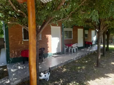 a cat is standing in front of a building at Cabañassoleado Villa Cura Brochero in Villa Cura Brochero