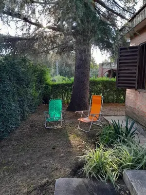 two chairs sitting in front of a tree at La Morada de sus Sueños in Bialet Massé