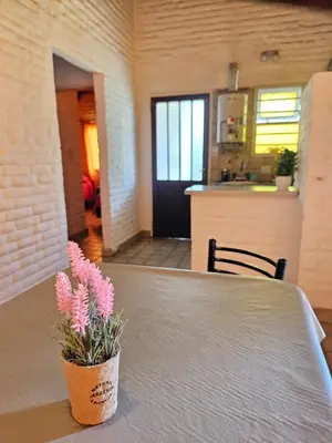 a potted plant sitting on top of a table at Casa Tilo número 1 in Mina Clavero