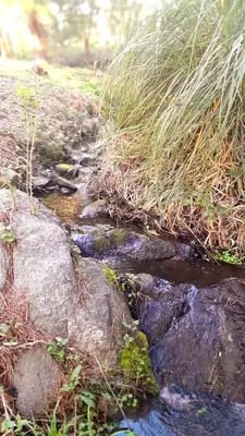 a creek with rocks and grass on a field at Luna Azul in Villa Yacanto