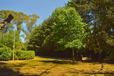 a park with trees and a bench in the grass at Cabañas Altos Del Parque in Villa Ciudad Parque